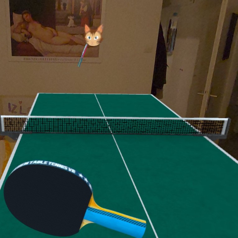 ping pong vr game